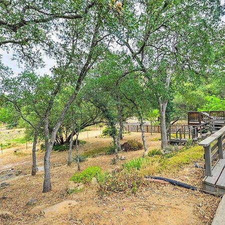 Charming Home Less Than 10 Mi To Sequoia Natl Park! Три-Риверс Экстерьер фото
